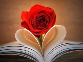 QAUND CA VOUS BRISE LE COEUR